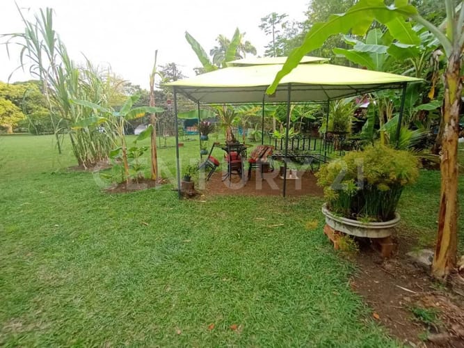 Lote en arriendo en Pance, Cali, 4200 m² · foto 2 de 21