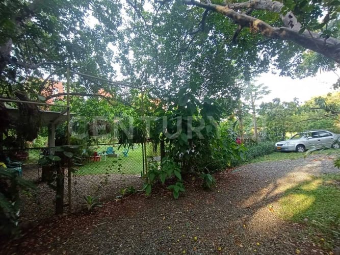 Lote en arriendo en Pance, Cali, 4200 m² · foto 3 de 21