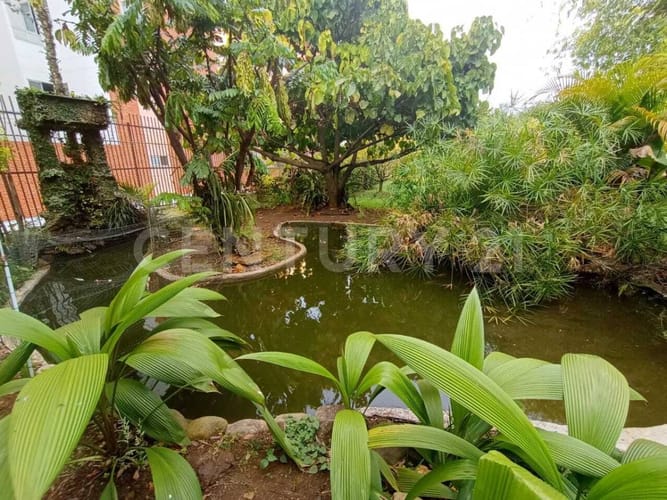 Lote en arriendo en Pance, Cali, 4200 m² · foto 5 de 21