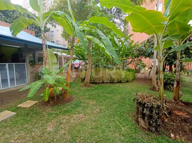 Lote en arriendo en Pance, Cali, 4200 m² · foto 6 de 21