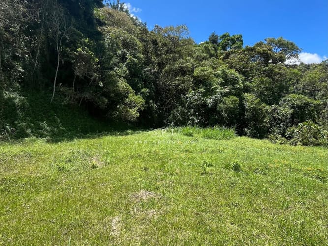 Lote en venta en Loma Del Chocho, Envigado, 2882 m² · foto 3 de 18