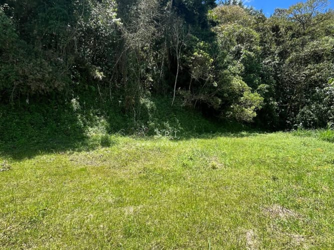 Lote en venta en Loma Del Chocho, Envigado, 2882 m² · foto 15 de 18