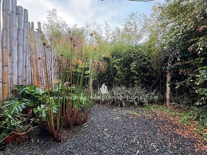 Lote en venta en Guapante, Guarne, 400 m² · foto 17 de 24