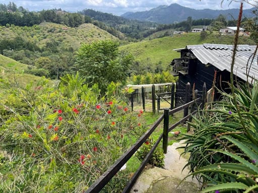 Finca en venta en El Portento, El Retiro, 15000 m² · foto 15 de 24