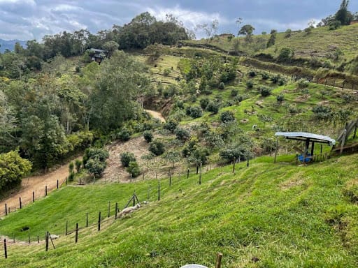 Finca en venta en El Portento, El Retiro, 15000 m² · foto 17 de 24