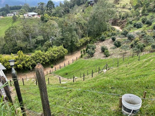 Finca en venta en El Portento, El Retiro, 15000 m² · foto 19 de 24