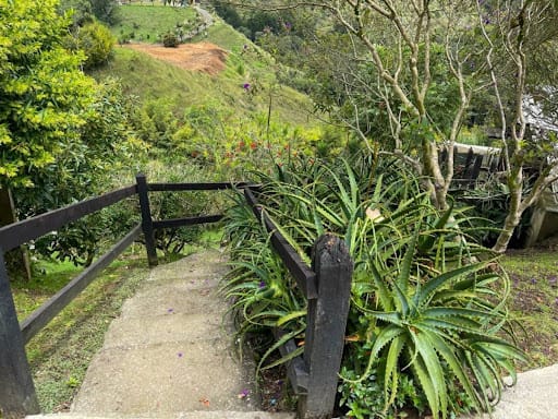 Finca en venta en El Portento, El Retiro, 15000 m² · foto 20 de 24