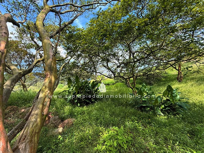 Lote en venta en Loma Del Escobero, Envigado, 2534 m² · foto 2 de 13