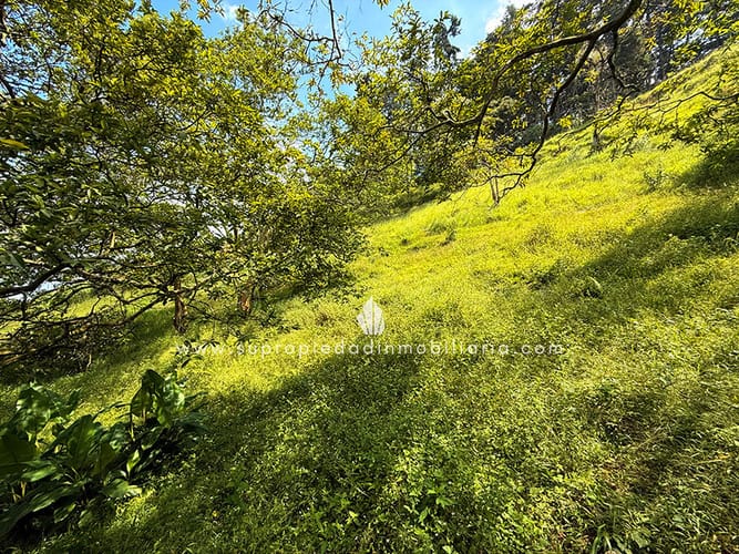 Lote en venta en Loma Del Escobero, Envigado, 2534 m² · foto 3 de 13