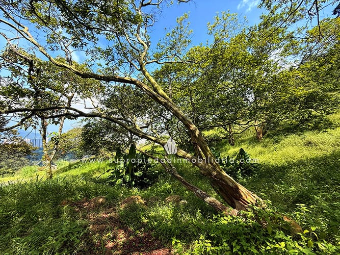 Lote en venta en Loma Del Escobero, Envigado, 2534 m² · foto 4 de 13