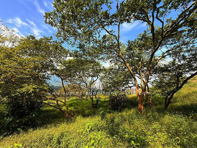 Lote en venta en Loma Del Escobero, Envigado, 2534 m² · foto 5 de 13