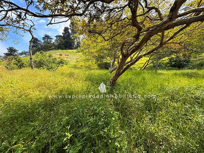 Lote en venta en Loma Del Escobero, Envigado, 2534 m² · foto 10 de 13