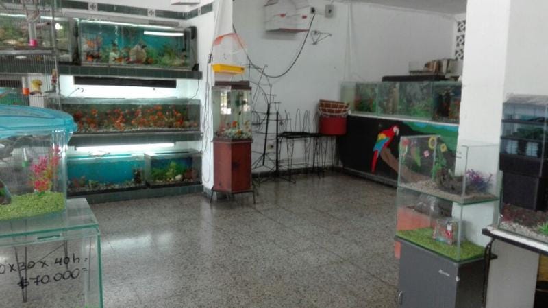 Local en venta en America, Barranquilla, 420 m² · foto 3 de 14