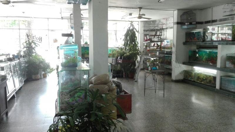 Local en venta en America, Barranquilla, 420 m² · foto 5 de 14