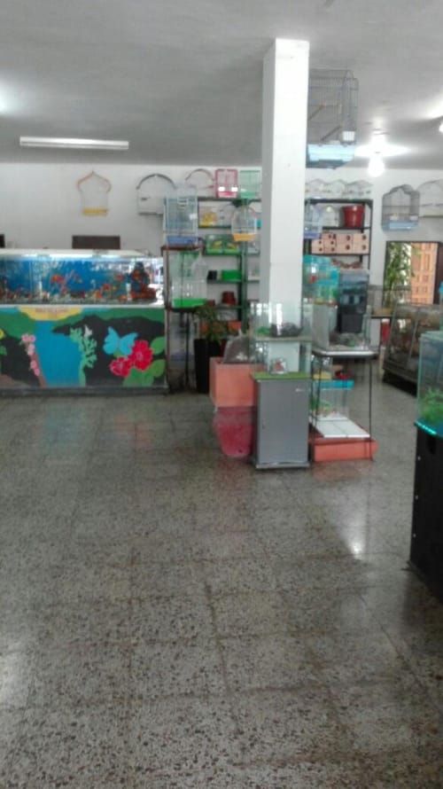 Local en venta en America, Barranquilla, 420 m² · foto 12 de 14