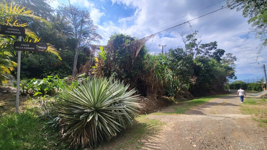 Lote en venta en Los Andes, Cali, 2300 m² · foto 5 de 11