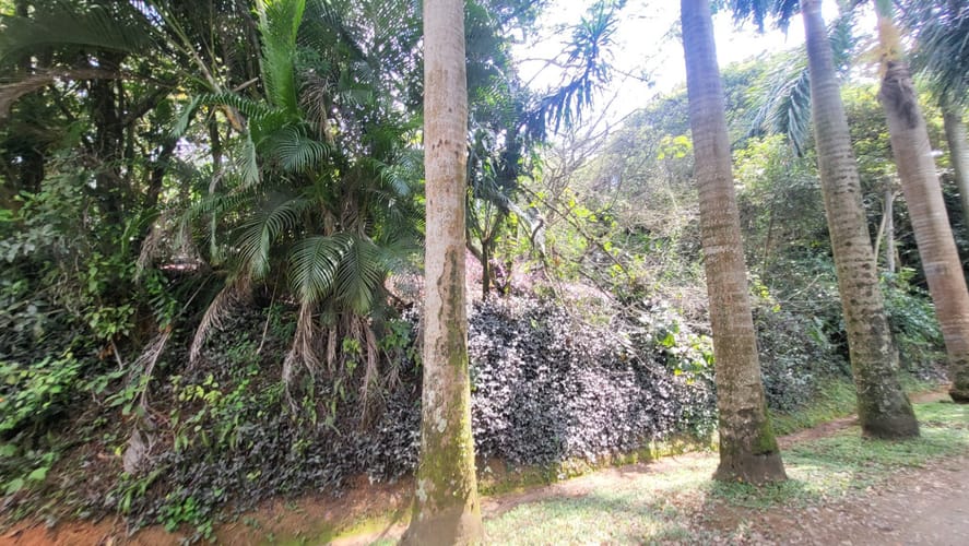 Lote en venta en Los Andes, Cali, 2300 m² · foto 6 de 11