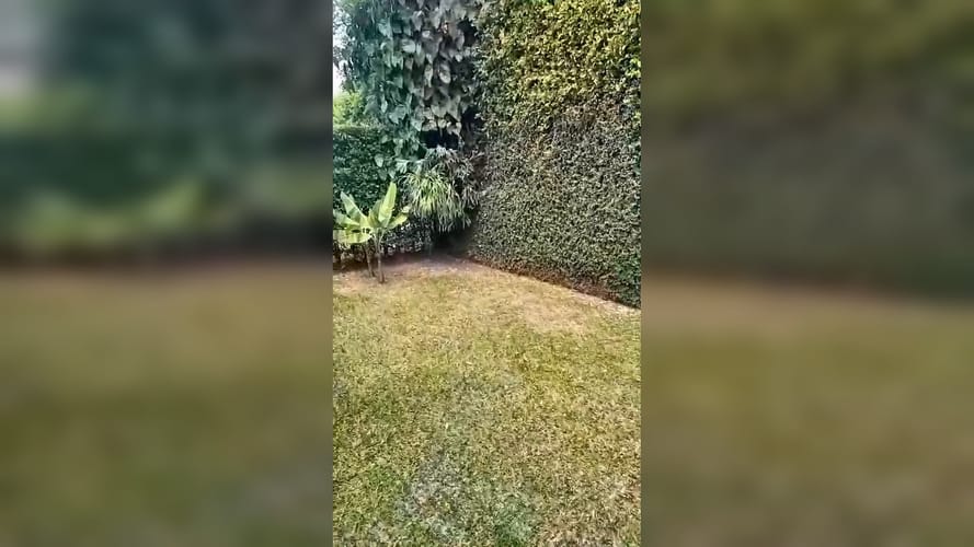 Casa de 3 alcobas en venta en Las Mercedes, Jamundí, 187 m² · foto 4 de 20
