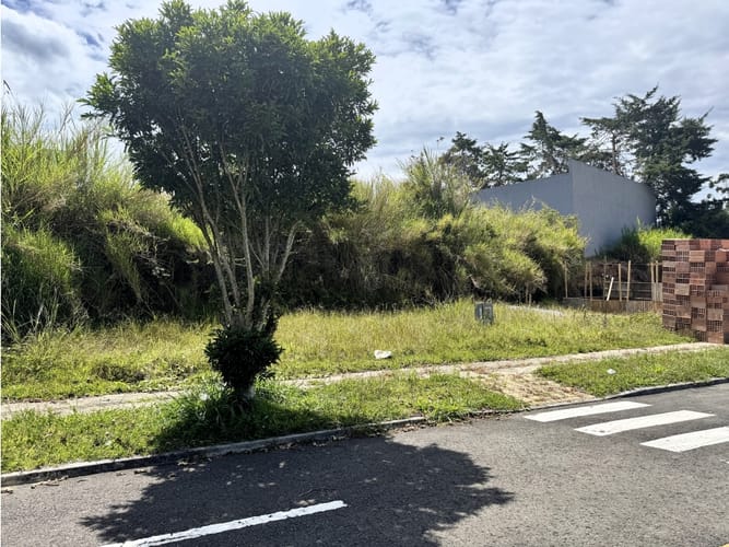 Lote en venta en El Carmen De Viboral, El Carmen de Viboral, 84 m² · foto 10 de 16