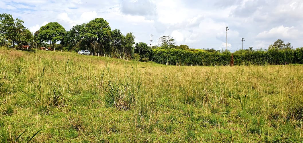 Lote en venta en Cerritos, Pereira, 2855 m² · foto 12 de 16