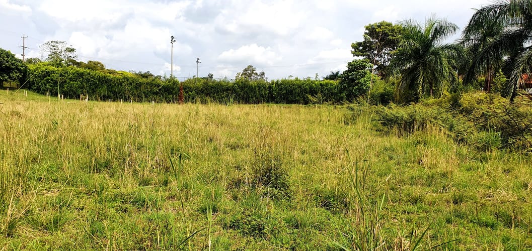 Lote en venta en Cerritos, Pereira, 2855 m² · foto 15 de 16