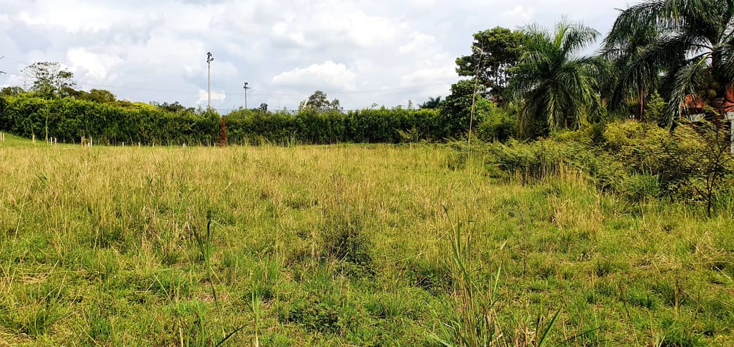 Lote en venta en Cerritos, Pereira, 2855 m² · foto 13 de 16