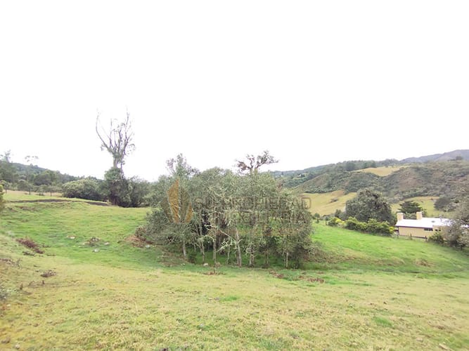 Lote en venta en El Hato, La Calera, 10000 m² · foto 4 de 19