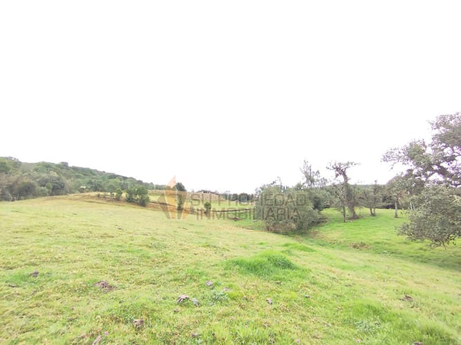 Lote en venta en El Hato, La Calera, 10000 m² · foto 5 de 19
