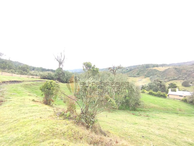 Lote en venta en El Hato, La Calera, 10000 m² · foto 6 de 19