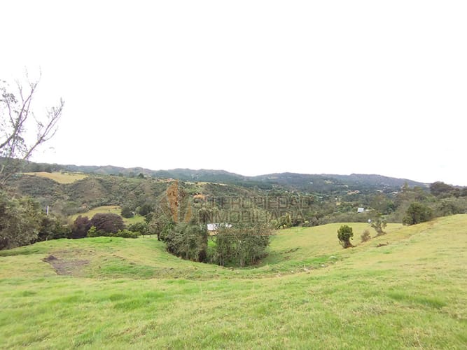 Lote en venta en El Hato, La Calera, 10000 m² · foto 7 de 19