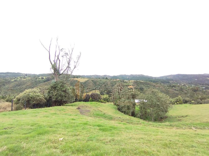 Lote en venta en El Hato, La Calera, 10000 m² · foto 8 de 19