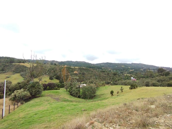 Lote en venta en El Hato, La Calera, 10000 m² · foto 9 de 19