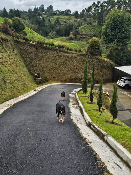 Casa de 3 alcobas en venta en El Carmin, Rionegro, 350 m² · foto 22 de 23