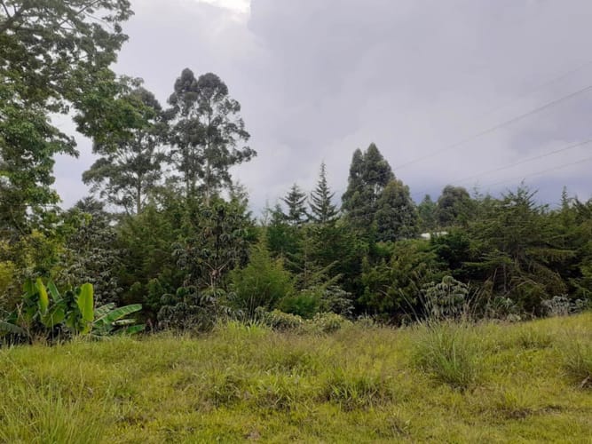 Lote en venta en Pontezuela, Rionegro · foto 2 de 6