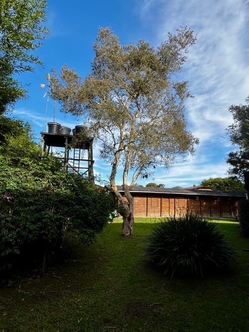 Casa de 7 alcobas en venta en Cabeceras De Llanogrande, Rionegro, 650 m² · foto 3 de 24