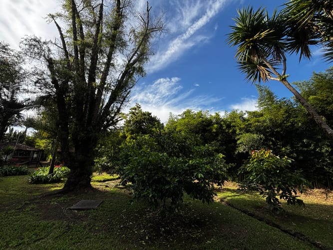 Casa de 7 alcobas en venta en Cabeceras De Llanogrande, Rionegro, 650 m² · foto 7 de 24