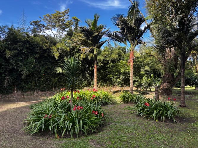 Casa de 7 alcobas en venta en Cabeceras De Llanogrande, Rionegro, 650 m² · foto 8 de 24