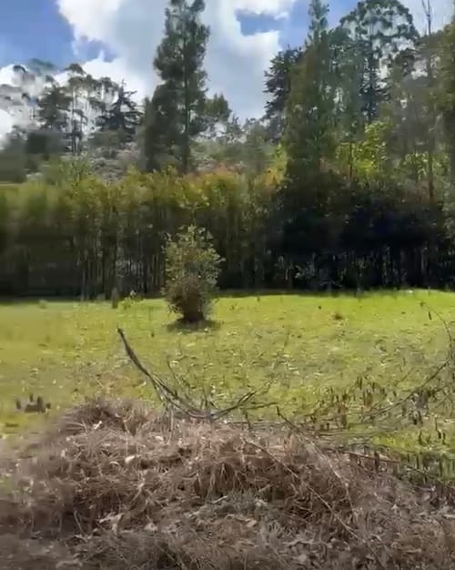Lote en venta en Alto Del Medio, Rionegro, 7800 m² · foto 2 de 9
