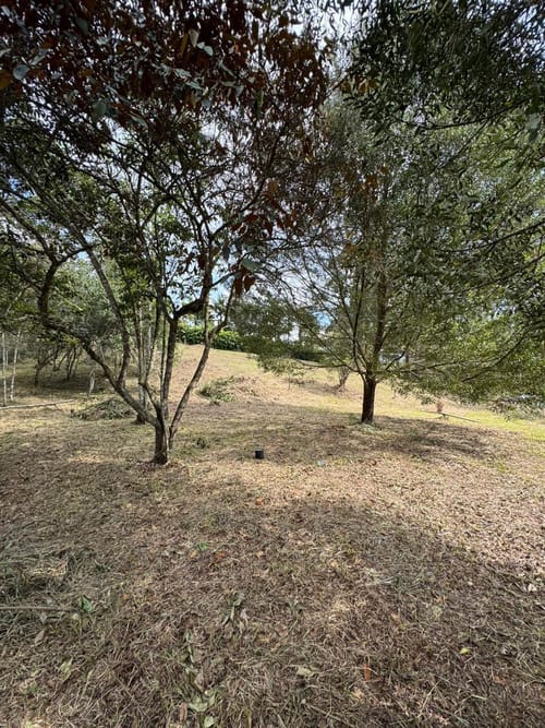 Lote en venta en Alto Del Medio, Rionegro, 7800 m² · foto 3 de 9