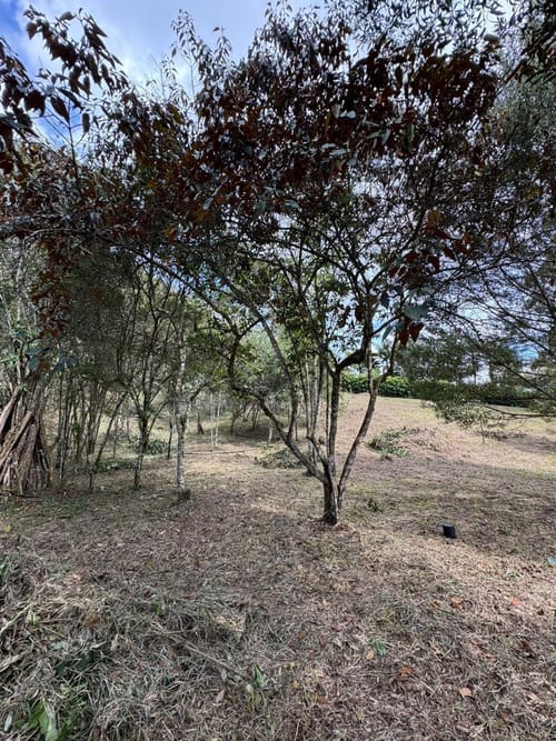 Lote en venta en Alto Del Medio, Rionegro, 7800 m² · foto 4 de 9