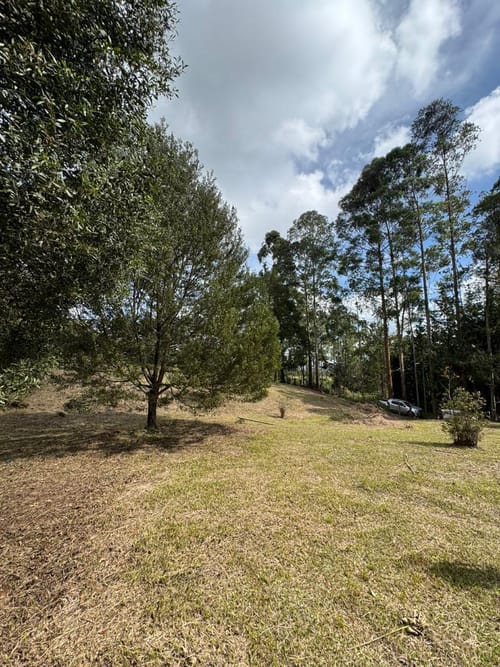 Lote en venta en Alto Del Medio, Rionegro, 7800 m² · foto 5 de 9
