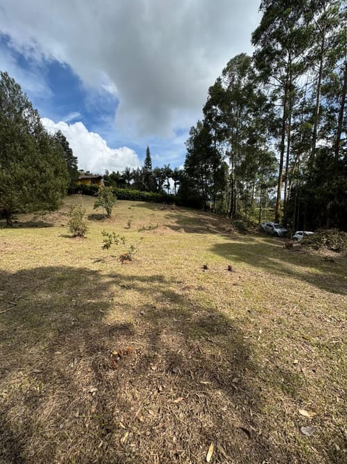 Lote en venta en Alto Del Medio, Rionegro, 7800 m² · foto 6 de 9