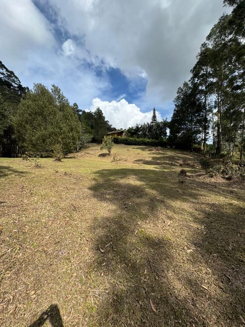 Lote en venta en Alto Del Medio, Rionegro, 7800 m² · foto 7 de 9