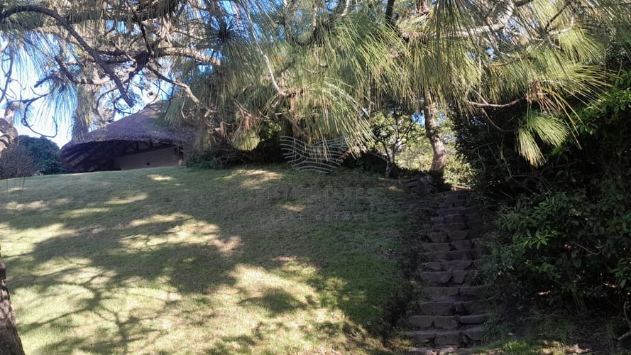 Directamente sobre la Laguna del sauce · Foto 7