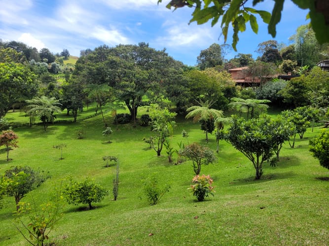 Lote en venta en Sajonia, Rionegro, 3396 m² · foto 2 de 7