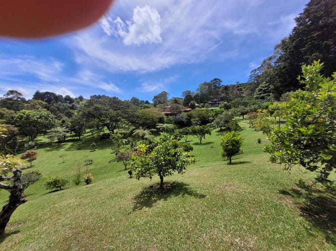 Lote en venta en Sajonia, Rionegro, 3396 m² · foto 3 de 7
