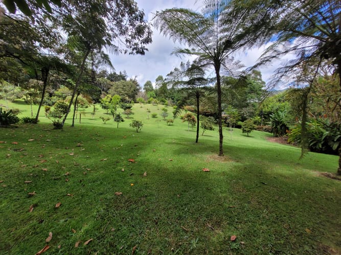 Lote en venta en Sajonia, Rionegro, 3396 m² · foto 4 de 7