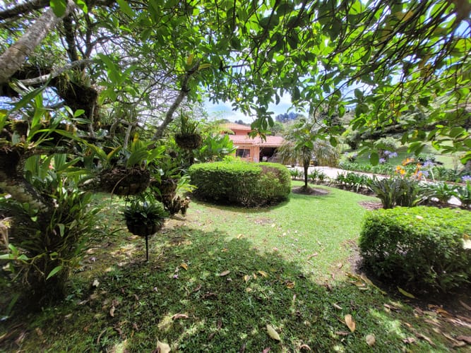 Lote en venta en Sajonia, Rionegro, 3396 m² · foto 7 de 7