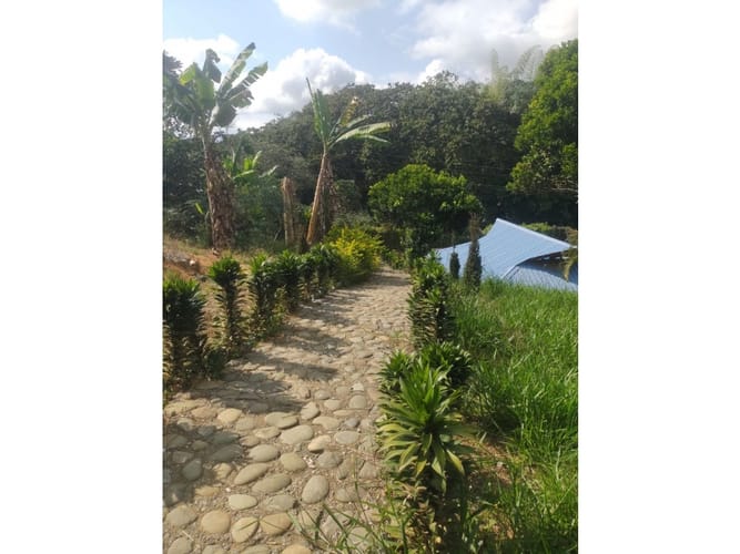 Casa de 9 alcobas en venta en Puente Palo, Cali, 609 m² · foto 14 de 15