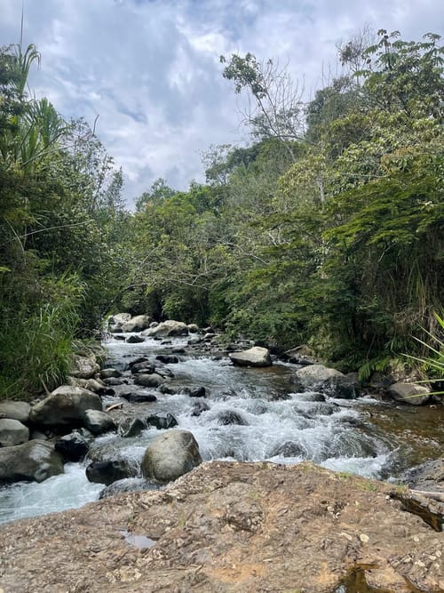 Lote en venta en La Reforma, Cali, 3400 m² · foto 13 de 17